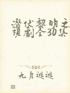 潜伏黎明之前电视剧全30集免费观看