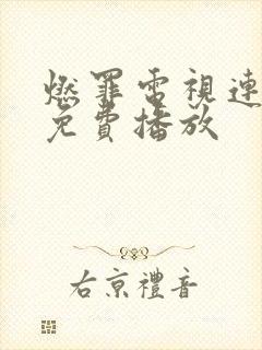 燃罪电视连续剧免费播放