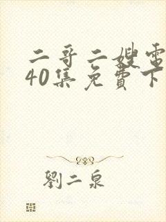 二哥二嫂电视剧40集免费下载