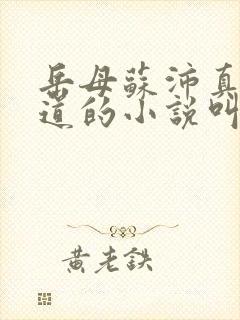 岳母苏沛真和林道的小说叫什么名字