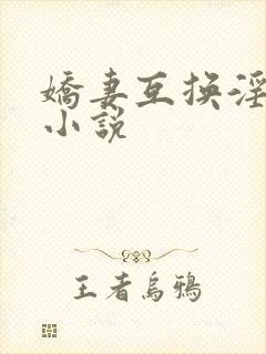 娇妻互换淫欢(小说封面