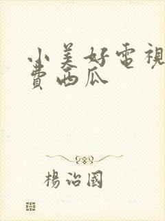 小美好电视剧免费西瓜