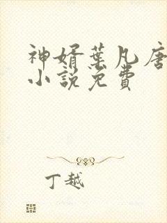 神婿叶凡唐若雪小说免费