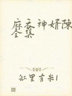 麻衣神婿陈黄皮全集封面