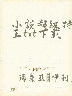 小说超级特战兵王txt下载封面