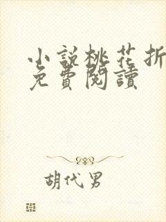 小说桃花折江山免费阅读