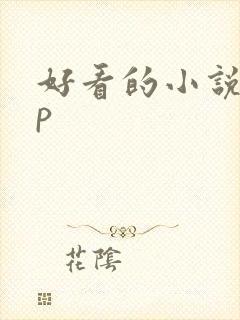 好看的小说app