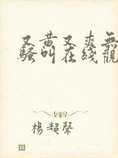 又黄又爽无遮挡骚叫在线观看
