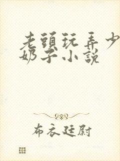 老头玩弄少妇的奶子小说