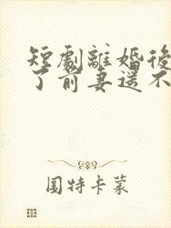 短剧离婚后我成了前妻遥不可及