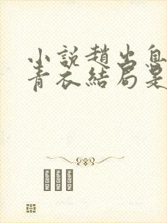 小说赵出息和李青衣结局是什么封面