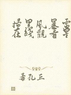 扫黑风暴电视剧在线观看星辰