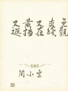 又黄又爽免费无遮挡在线观看