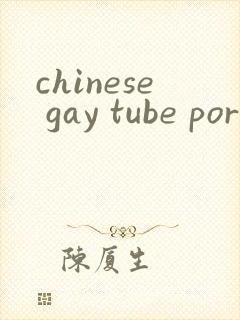 chinese gay tube porn封面