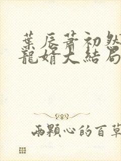 叶辰萧初然上门龙婿大结局