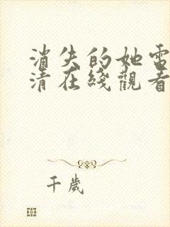 消失的她电影高清在线观看完整版封面