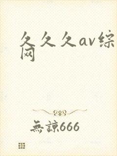 久久久av综合网