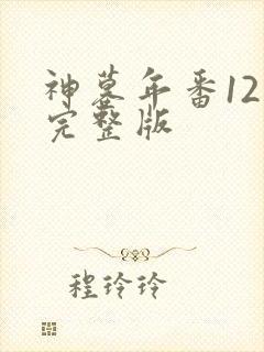 神墓年番12集完整版
