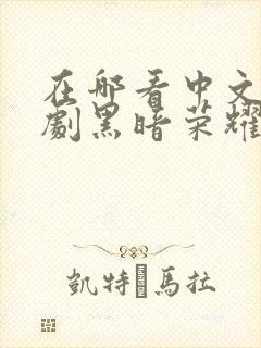 在哪看中文版韩剧黑暗荣耀第二季