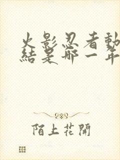 火影忍者动画完结是哪一年