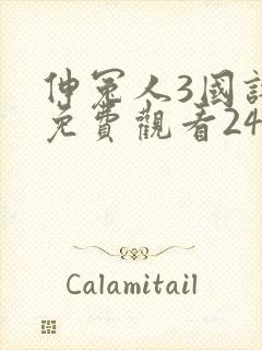 伸冤人3国语版免费观看24集