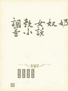 调教女奴奶头阴蒂小说