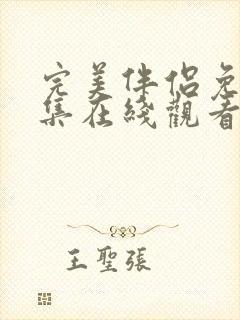 完美伴侣免费全集在线观看