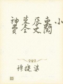 神墓辰东小说免费全文阅
