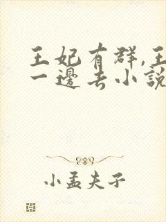 王妃有群,王爷一边去小说阅读