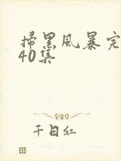 扫黑风暴完整版40集