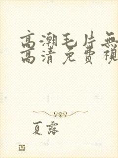 高潮毛片无遮挡高清免费视频毛片