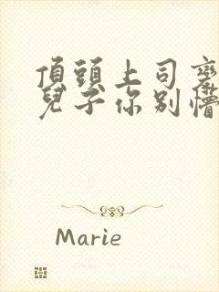 顶头上司变后妈儿子你别懵免费看封面