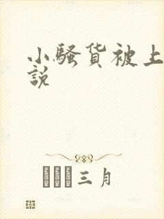 小骚货被上的小说封面
