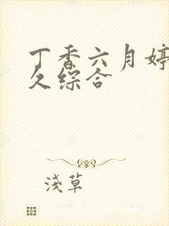 丁香六月婷婷久久综合