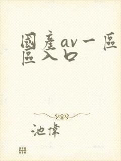 国产av一区二区入口