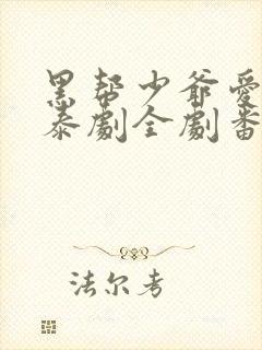 黑帮少爷爱上我泰剧全剧番外