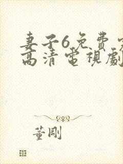 妻子6免费完整高清电视剧在线看封面