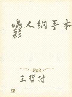 鸣人纲手本子全彩