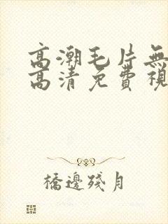 高潮毛片无遮挡高清免费视频软件封面