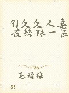 91久久人妻午夜丝袜一区二区