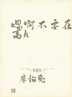 嗯啊不要在这里高h