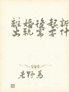 离婚后起诉婚内出轨需要什么证据封面