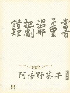 错把温柔当情深短剧哪里看完整版封面