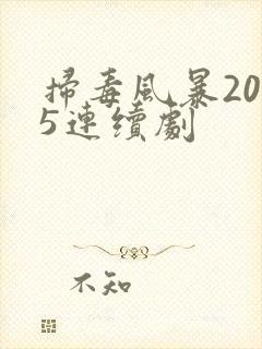 扫毒风暴2025连续剧