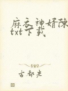 麻衣神婿陈黄皮txt下载