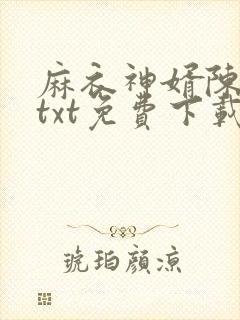 麻衣神婿陈黄皮txt免费下载