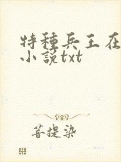 特种兵王在山村小说txt