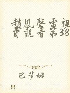 赵凤声电视剧免费观看第38集