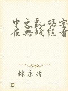 中文乱码字幕午夜无线观看