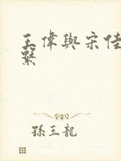 王伟与宋佳的关系